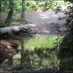 Camino Francés, vers Sarria